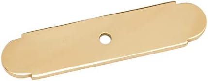 Premium Polished Brass Backplate