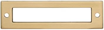 Top Knobs TK924HB Hollin Backplate Honey Bronze