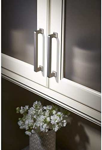 Top Knobs Transcend Collection TK703BSN Pull