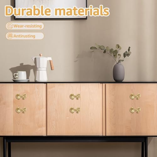 Boxes of PTMTFYL Decorative Knobs Set