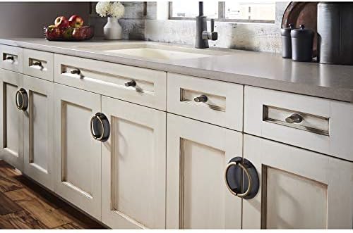 Top Knobs TK58BSN Backplate Handle Pull