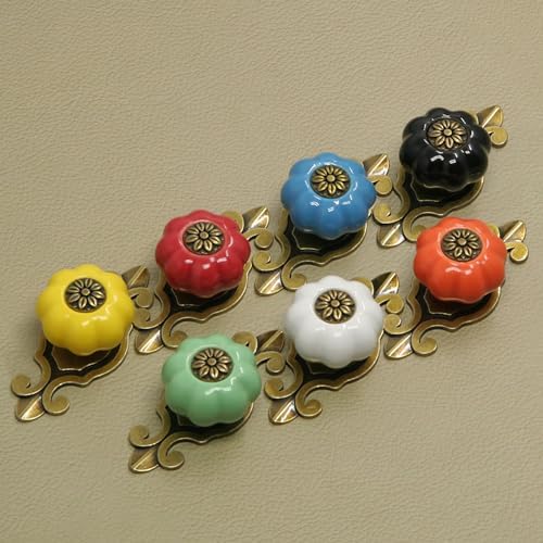 10-Piece Kitchen Cabinet Knobs with Backplate